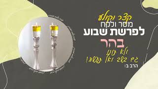 הרב בועז שלום - פרשות בהר בחוקותי - ולא תונו - גם ב'שב ואל תעשה (תשפ"ו)