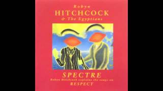 When I Was Dead by Robyn Hitchcock