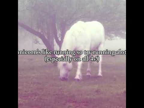 How to deal with species dysphoria as a unicorn otherkin/therian #antizoo #otherkin #alterhuman #fyp