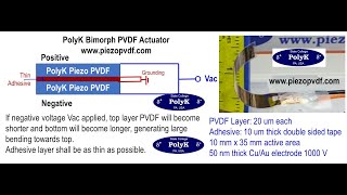 Soft PVDF actuator: compare biomorphic and Unimorph designs, robotics