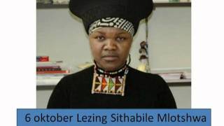 Zimbabwaanse kunst in de Haarlemse buitenruimte