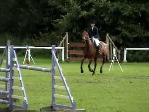 Whisper Bicton Young Horse Championship