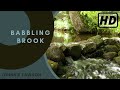 Nature Sounds 1 Hour Forest Waterfall - Babbling Brook Water & Birdsong Meditation- Sleeping Sound