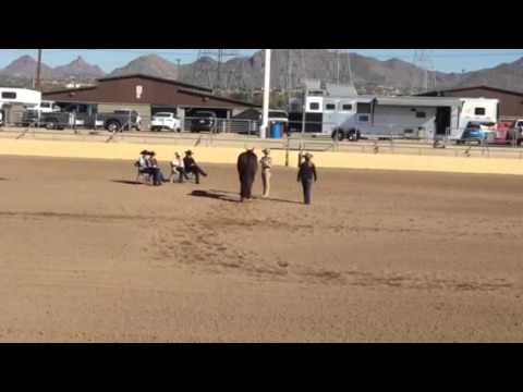 Brittany Lofton Morgan & Romeo