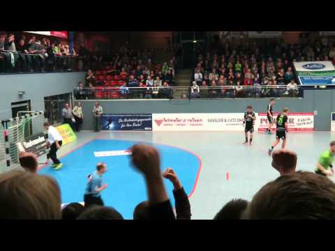 TV Emsdetten vs  Eintracht Hildesheim