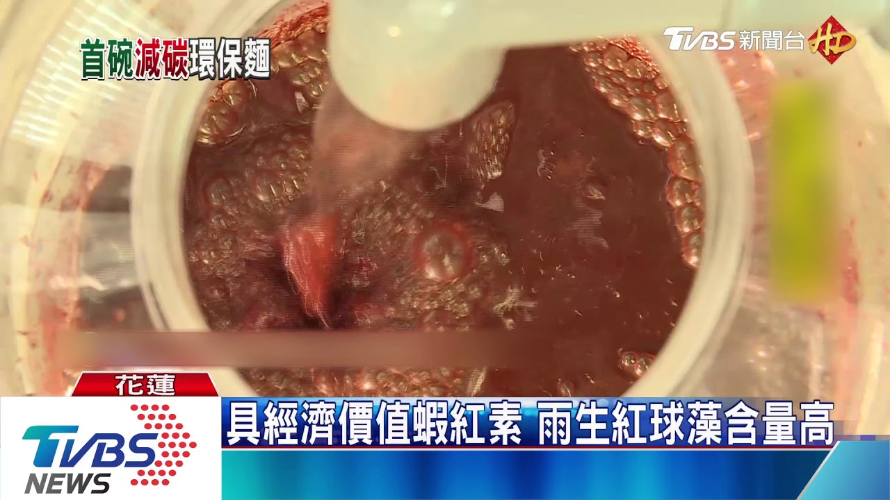 吃麵愛地球 微藻固碳蝦紅素入麵