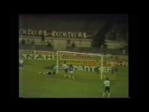 14/06/1987 - Cruzeiro Esporte Clube 1x0 América/MG