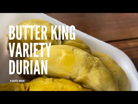Durian [Butter King]😎 #durian #redprawntech