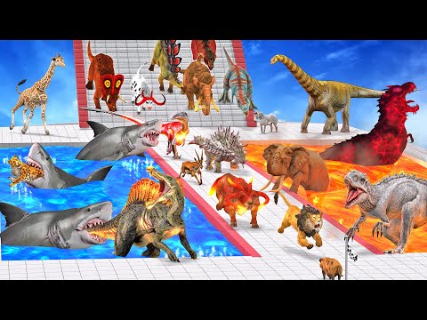 Stairs Championship of All Units Dinosaurs Vs Animals Falling Down the Stairs into Lava Path Shark