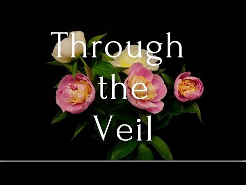 Michael Kim-Sheng - Through the Veil