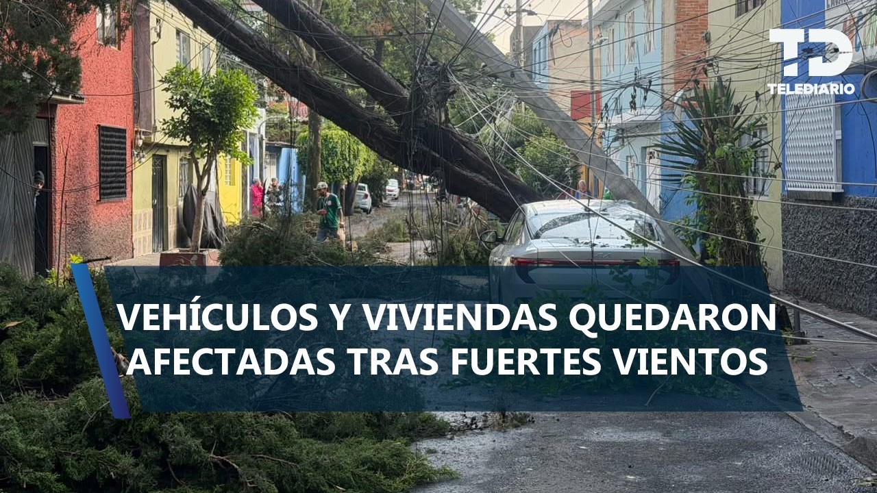 Tromba deja 21 árboles caídos, vehículos dañados y deja sin luz a vecinos de la Miguel Hidalgo