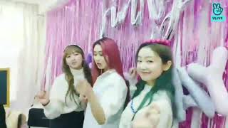 Download lagu [vlive] SECRET NUMBER SPECIAL JINNY BIRTHDAY Full version (part 2/3) sub indo mp3