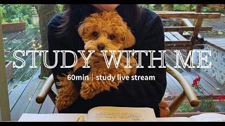 60 min｜STUDY WITH ME｜勉強ライブ🐬
