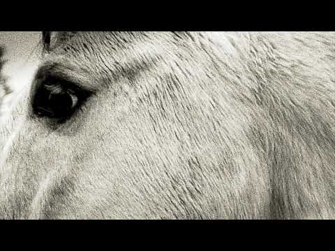 Bonny Light Horseman – Bonny Light Horseman (Official Audio)