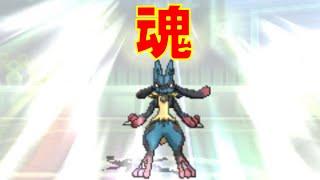 【ポケモンUSUM】ルカリオが見せた魂。2人でレート実況してみたpart66