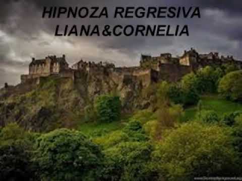 Hipnoza Regresiva 241 Florin