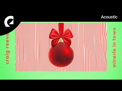 Craig Reever - Miracle In Town