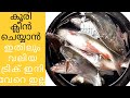 Cat Fish Cutting Cat Fish Cutting And Cleaning Koori Cutting Koori Cutting And Cleaning Fish Cutting