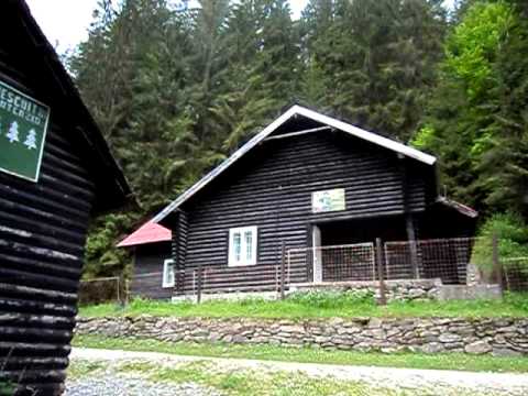 Energie hidraulică pe Borca la cabana Borcuta