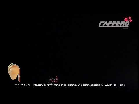 5171 6 Chrys to color peony red,green and blue