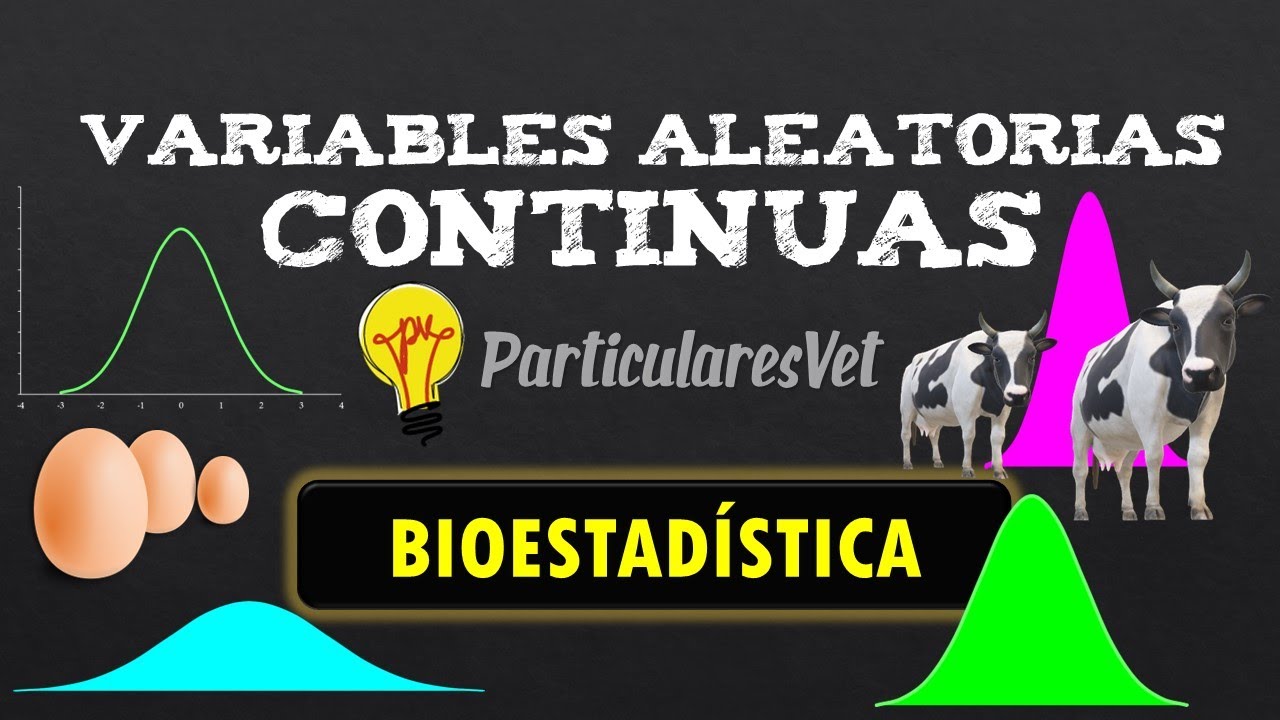 Miniatura Clase 1