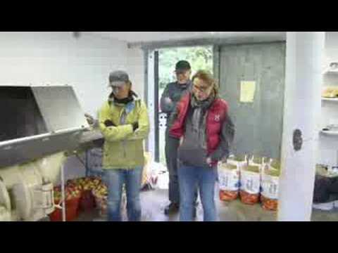 Frischer Apfelsaft - Färsk Äppelmust