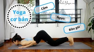 Yoga Cho Người Mới Tập - Đầu Gối, Ngực, Cằm - Chắc Khỏe Cánh Tay Và Cơ Bụng