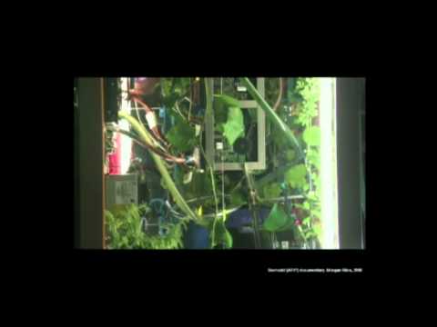 TEDxFlanders - Angelo Vermeulen - Biomodd: Art, gaming and ecology