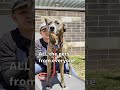 Adopt Vertical