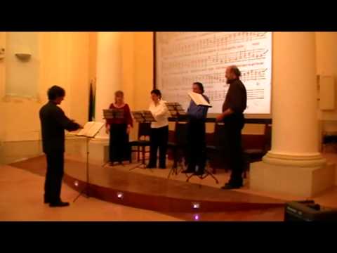 Sebastiano Festa - O passi sparsi