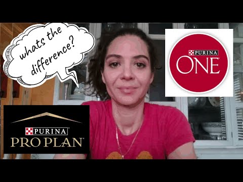 Dog food review: Purina One vs Purina Pro Plan: What is the difference between the brands?