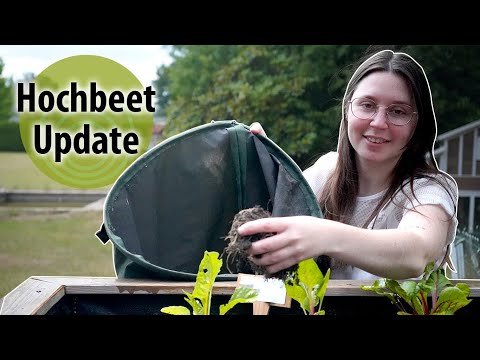 Gartenarbeiten im Juli - Ernte und Erbsenaussaat im Hochbeet | dobarsmart leisure