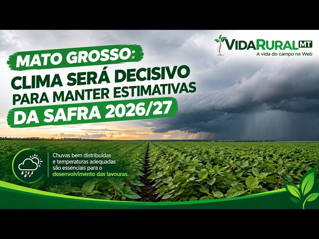 CLIMA SERÁ DECISIVO PARA MANTER ESTIMATIVAS DA SAFRA 2026/27