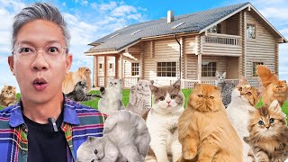 Download lagu KITA PERGI KE PETERNAKAN KUCING TERBESAR DI BANDUNG!! mp3 Download lagu KITA PERGI KE PETERNAKAN KUCING TERBESAR DI BANDUNG!! mp3