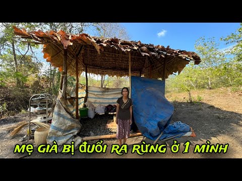 The OLD MOTHER was chased out of the village, had no place to RELY and had to go to the FOREST to...