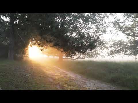 Moraitai metere crew