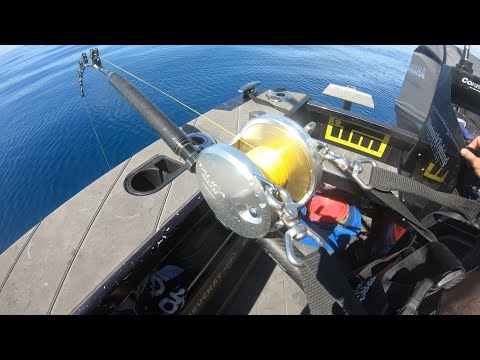 Monster From The Deep - We're Running Out Of Line!