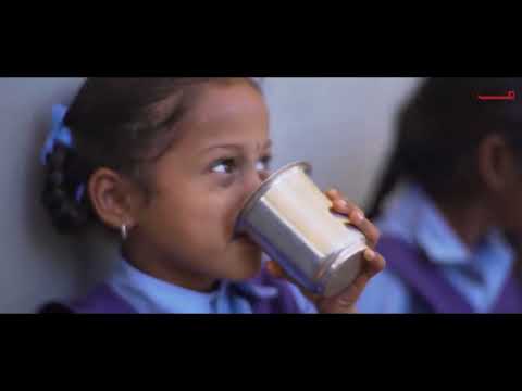 Empowering Schools: A CSR Initiative in Greater Noida by CCSE