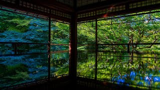 【Vlog】60 hours in Kyoto ｜A world destination