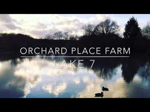 Orchard Place Farm - Lake 7