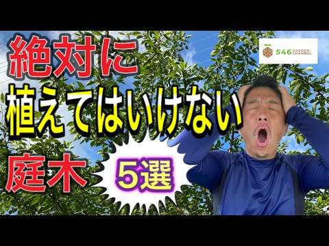 , title : '絶対植えてはけない庭木　造園のプロが、一般家庭には絶対に植えて欲しく無い植木を紹介。植えて後悔する前に、是非ご自宅の植木選びの参考にしてください。'