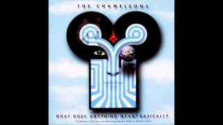 The Chameleons - One Flesh