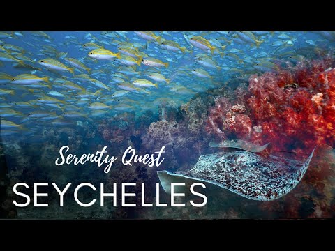 THE SEYCHELLES : A CINEMATIC BEAUTY︱INDIAN OCEAN BEST SCUBA DIVING ︱4K HDR VIDEO