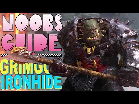 NOOB'S GUIDE TO GRIMGOR IRONHIDE