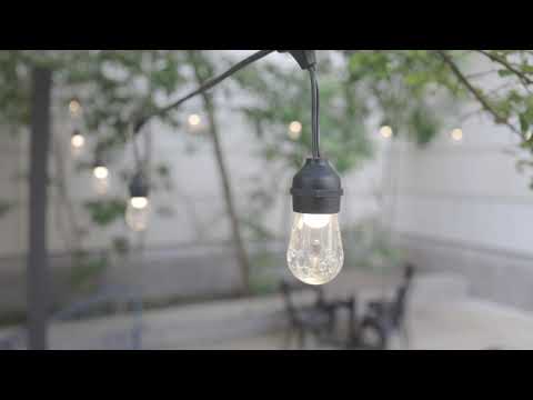 Copper Branch Vegan & Vegetarian Restaurant video.
