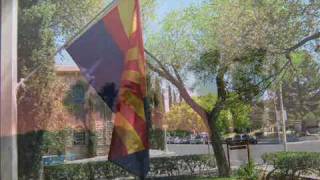 Arizona-Mark Lindsay