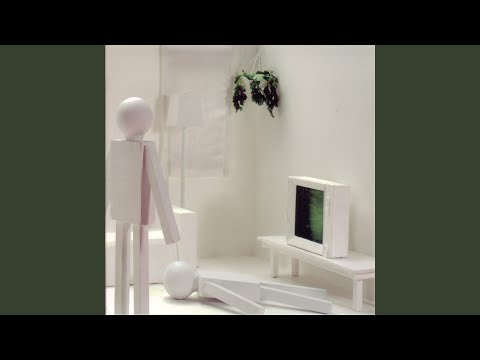 Videosection