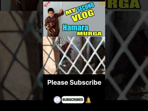 My Second VLOG | Hamara Murga | Mini Zoo Vlog | Brothers Zoo Vlogs | #0004 #shorts #zoo #viral