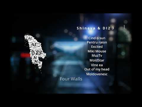 Shineva & DI23I - 24h (#MMD23 #FourWalls)