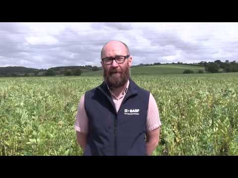 #Farm24: A typical 24 hours for BASF agronomy manager, Jared Bonner